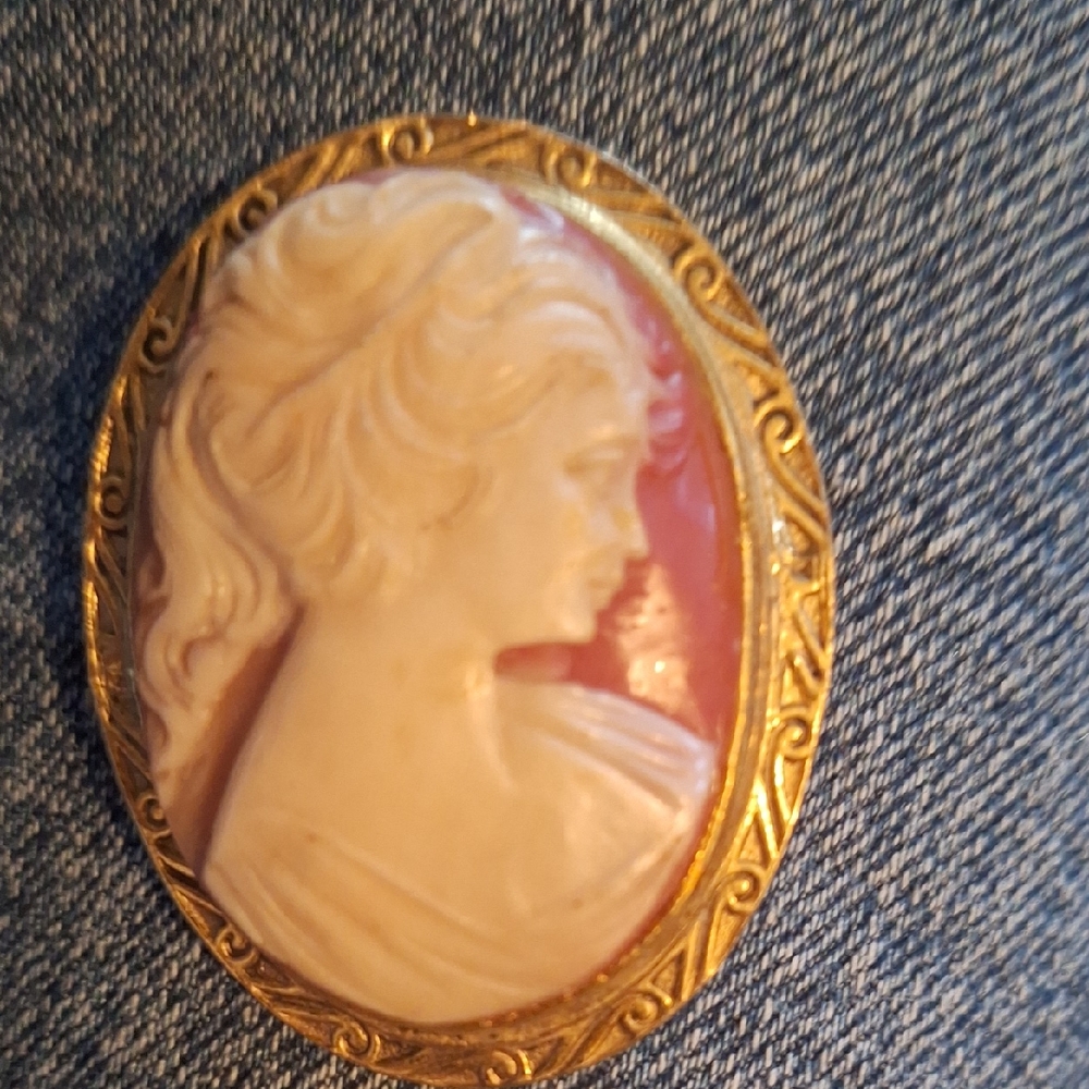 Elegant Gold and Cream Cameo Brooch